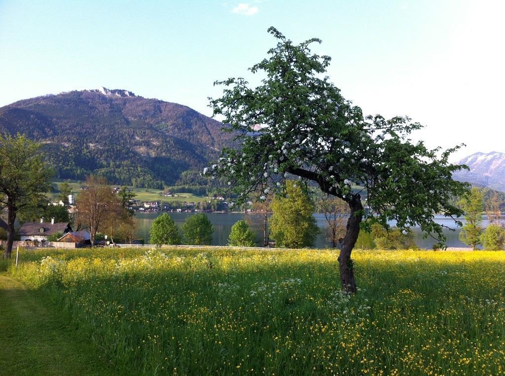 Haus Schoenblick Apartment ชตรอเบิล ภายนอก รูปภาพ